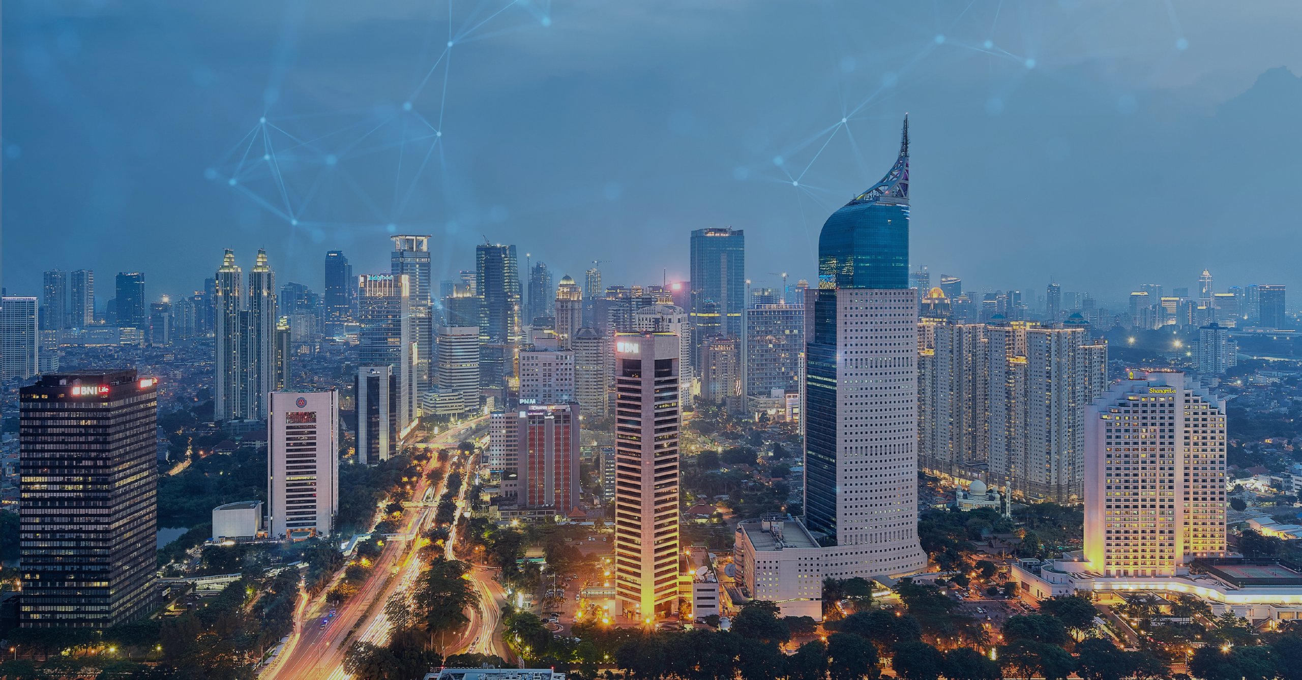 ULAP Networks Indonesia